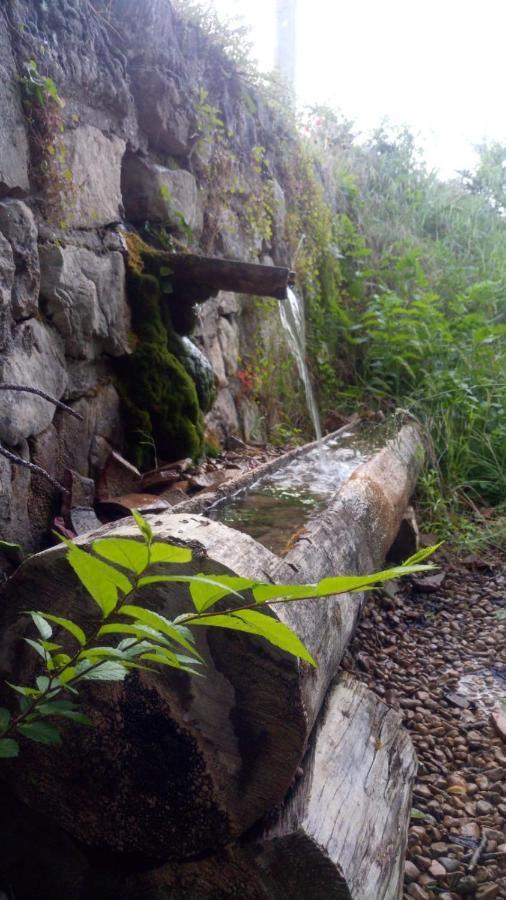 Hotel Rio Escabas, Serrania De Cuenca Cañamares Eksteriør bilde