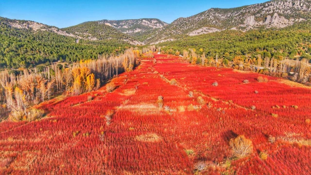 Hotel Rio Escabas, Serrania De Cuenca Cañamares Eksteriør bilde