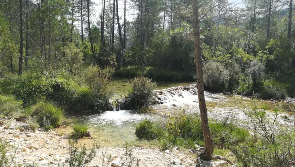 Hotel Rio Escabas, Serrania De Cuenca Cañamares Eksteriør bilde