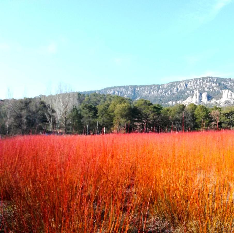 Hotel Rio Escabas, Serrania De Cuenca Cañamares Eksteriør bilde